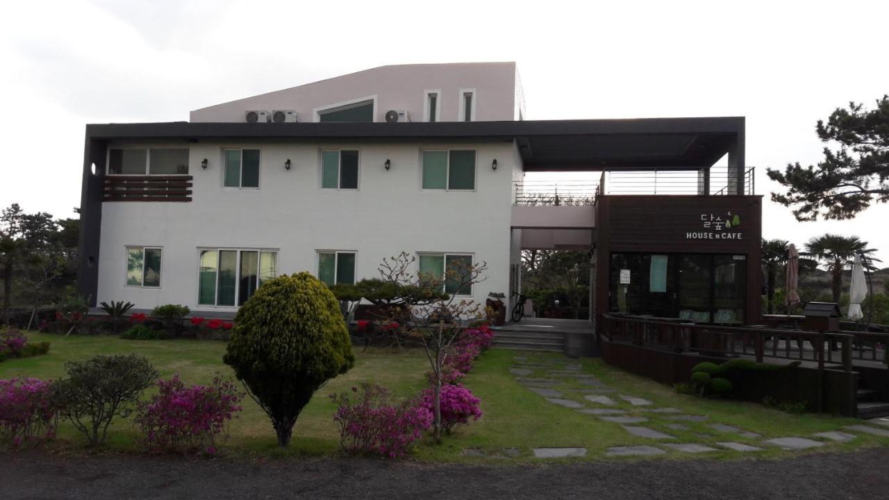 Moon Forest Guesthouse 제주 외부 사진