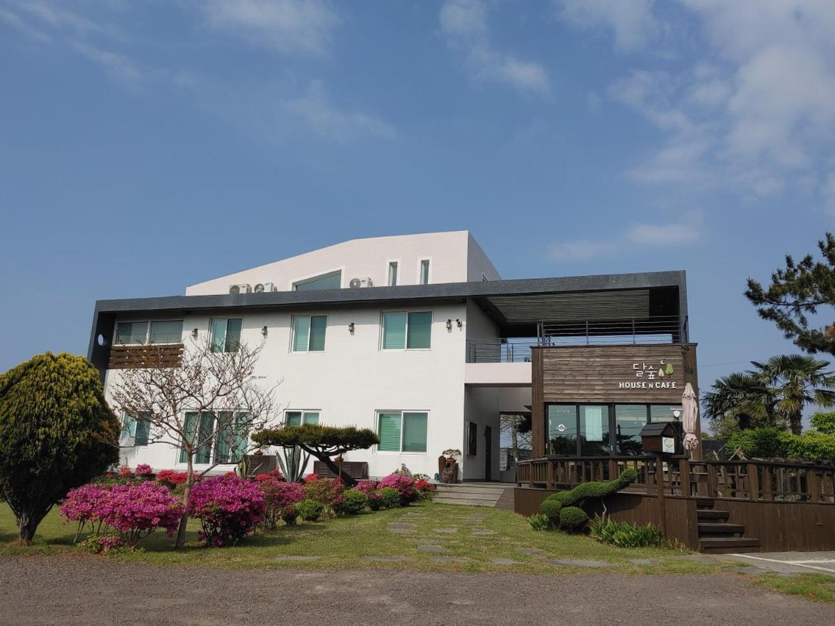 Moon Forest Guesthouse 제주 외부 사진